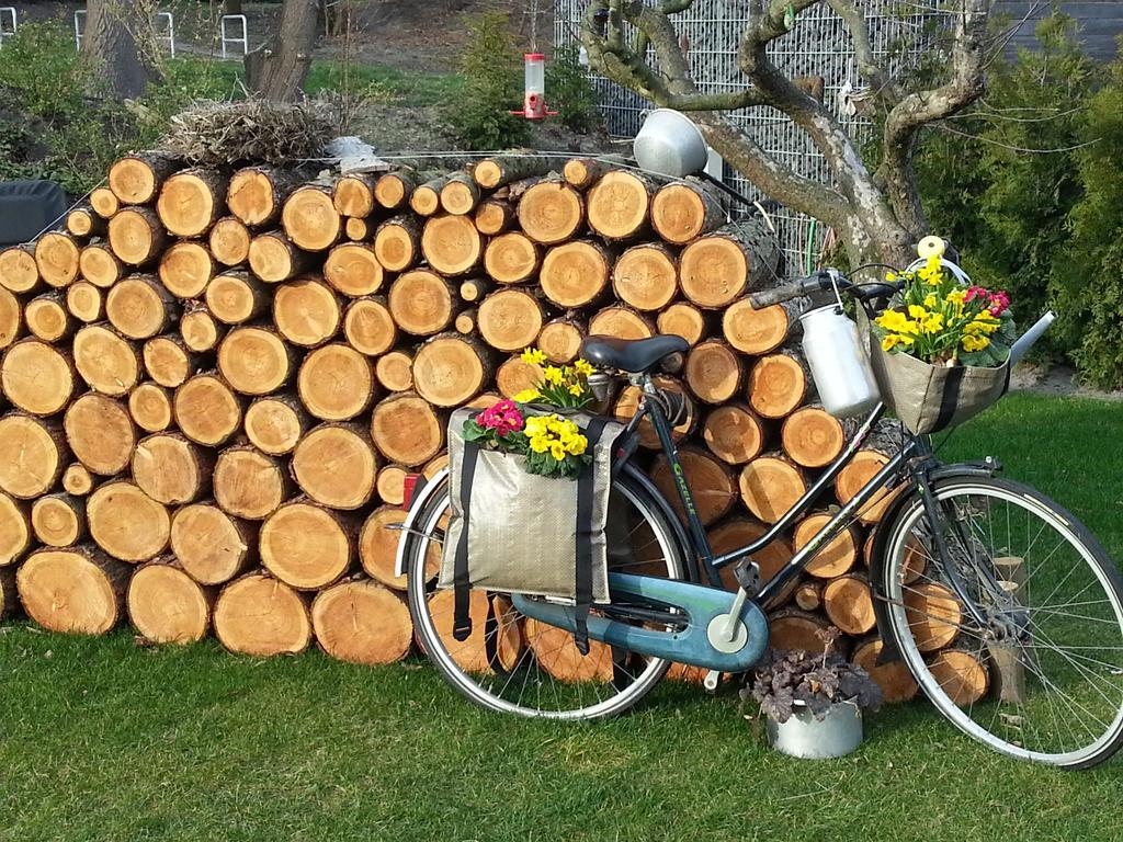 Ferienhaus Emstal In Oberlangen Lathen Екстер'єр фото
